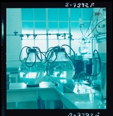 2373/18 Astra of Canada