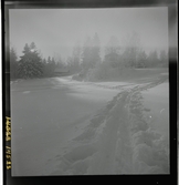 1950. Leksand Stig i snö