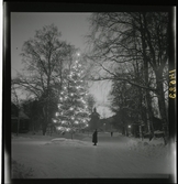 1950. Leksand Julgran med belysning