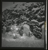 1950. Leksand Gravstenar i snö