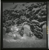 1950. Leksand Gravstenar i snö