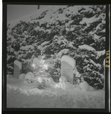 1950. Leksand Gravstenar i snö