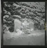 1950. Leksand Gravstenar i snö