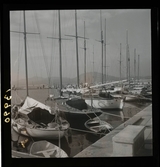 1950. Frankrike. Segelbåtar vid hamn