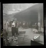 1950. Frankrike. Sprittillverkninga av vin