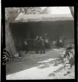 1950. Frankrike. Sprittillverkninga av vin