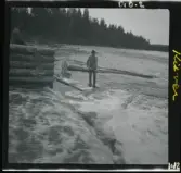 Text på negativ-fickor/ kontakt-ark: Kliver.