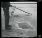 Text på negativ-fickor/ kontakt-ark: Rosön.