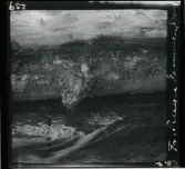 Text på negativ-fickor/ kontakt-ark: Fr. Tengerdammen. Svamp, murkla.