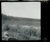 Text på negativ-fickor/ kontakt-ark: Arvids träsk