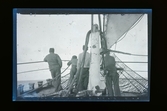 Fyra besättningsmän blickar ut från fören av ett fartyg.