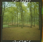 2771/7 Landskap Bokskog Löväng