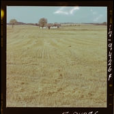 2771/40 Landskap Höstfält i Skåne