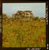 2771/41 Landskap Öland: Ölandsbron samt Vallmo. Småland: Stensjöby, Gård vid Vättern, samt blommor.