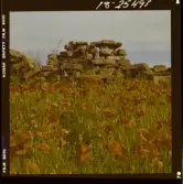 2771/41 Landskap Öland: Ölandsbron samt Vallmo. Småland: Stensjöby, Gård vid Vättern, samt blommor.