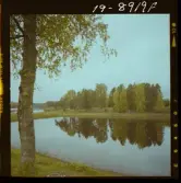 2771/53 Landskap-natur Sjö i Dala-Järna Höst i Österbybruk