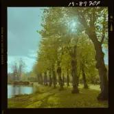 2771/53 Landskap-natur Sjö i Dala-Järna Höst i Österbybruk