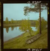 2771/53 Landskap-natur Sjö i Dala-Järna Höst i Österbybruk