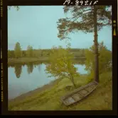 2771/53 Landskap-natur Sjö i Dala-Järna Höst i Österbybruk