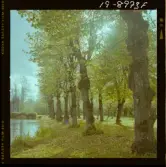 2771/53 Landskap-natur Sjö i Dala-Järna Höst i Österbybruk