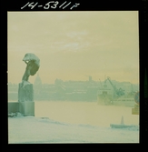 2777/3 Flickporträtt Fib-Aktuellt