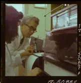 2782/3 LKB i Japan för Know How