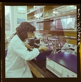 2782/3 LKB i Japan för Know How