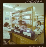 2782/3 LKB i Japan för Know How