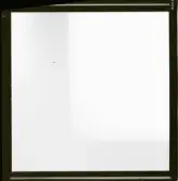 2782/6 LKB Microskopbilder av cellprover från kundens original. Svart/vit neg. för färgseparation