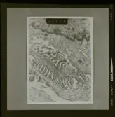 2782/6 LKB Microskopbilder av cellprover från kundens original. Svart/vit neg. för färgseparation