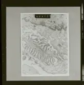 2782/6 LKB Microskopbilder av cellprover från kundens original. Svart/vit neg. för färgseparation