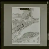 2782/6 LKB Microskopbilder av cellprover från kundens original. Svart/vit neg. för färgseparation