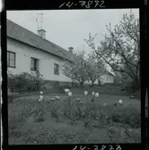 2785/3 Finspång Industri Fröbergs Lotorp