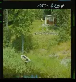 2785/12 Finspång Flygbilder, Allmänt