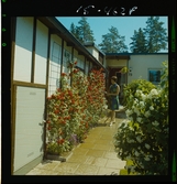 2785/14 Finspång Allmänt TV-familj