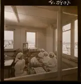 2373/22 Astra Hamburg samt flygnegativ