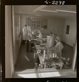 2373/22 Astra Hamburg samt flygnegativ