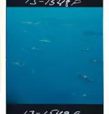 2741/2 Ostasiatiska Kompaniet Hongkong