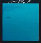 2741/2 Ostasiatiska Kompaniet Hongkong