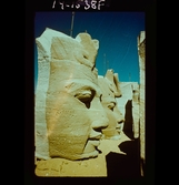 2742/6 S.A.W. Egyptisk staty, Mellanneg