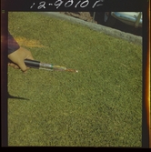 2744/6 Sieverts Kabelverk Mexico City