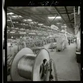 2744/17 Sieverts Kabelverk Conqver Cabel Sydney Australien