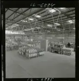 2744/17 Sieverts Kabelverk Conqver Cabel Sydney Australien