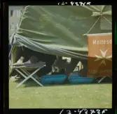 2745 Katolsk Mässa Köln, Tyskland