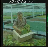 2748/2 Värnamo Well; Uppsala Ättiksfabrik