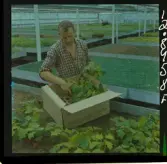 2748/2 Värnamo Well; Uppsala Ättiksfabrik