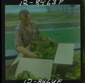 2748/2 Värnamo Well; Uppsala Ättiksfabrik