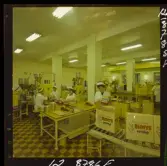 2748/4 Värnamo Well Philips Uppsala Ättiksfabrik