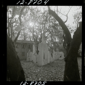 2749/1 Picasso, Frukost i det gröna Times i London