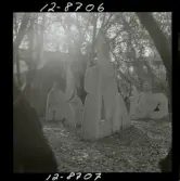 2749/1 Picasso, Frukost i det gröna Times i London